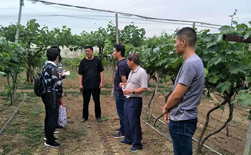 ע�⣡�����м��0.01%ũҩ�ɷ֣����ұ�����25��