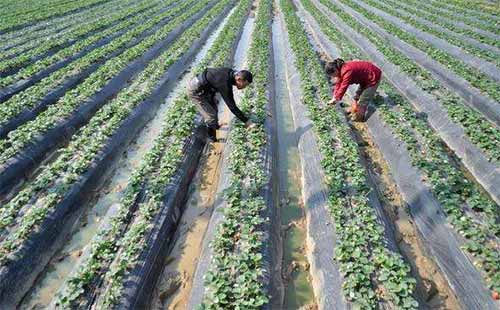 ��ũ���ܷ��Ҵ󻧣���