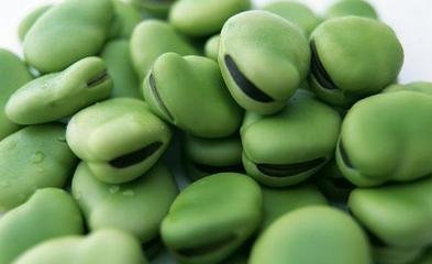 �϶���ֲ������Ϊʲô��ȱ�أ�ԭ����ʲô��