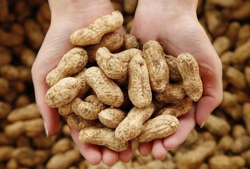 ����ȱ������ţ��������α�����