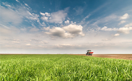 �л���+�޻�����+������ô���