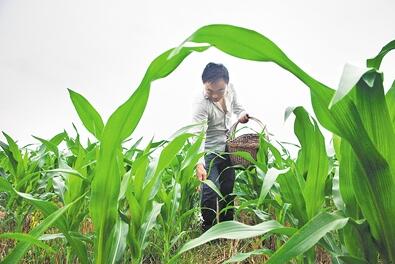 ���ʼ�����Ч�����õ��ƹ�