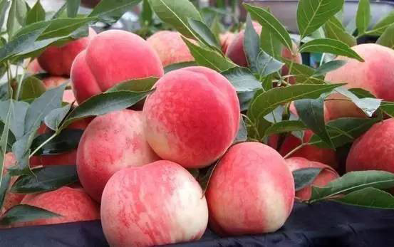 ˮ������ô��ֲ����ֲ����