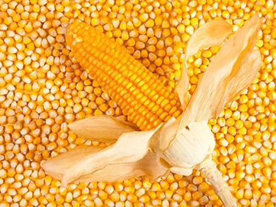 ��������ݼ�����Щ ��ôʹ�ó���Ч������