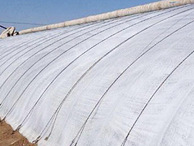 ���ｵ�¼�ԭ����ʲô��Ϊʲô�ܽ��£�