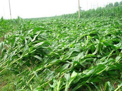 ���״������������һ�ֻ�е�ո�Ч�����ã�