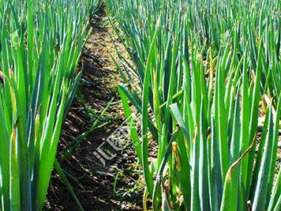 ����߲���ʲô֢״������߲����δ�ʩ