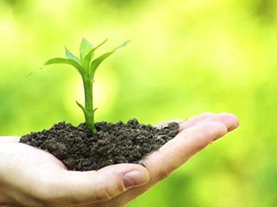 ���Ų����Ӵ���ɫ�׸��ʡ����ͷ���֧������