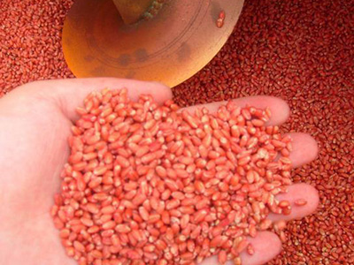 С�������ʲô�ô���ʲô������